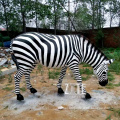 Outdoor garden fiberglass animal life size resin zebra statue